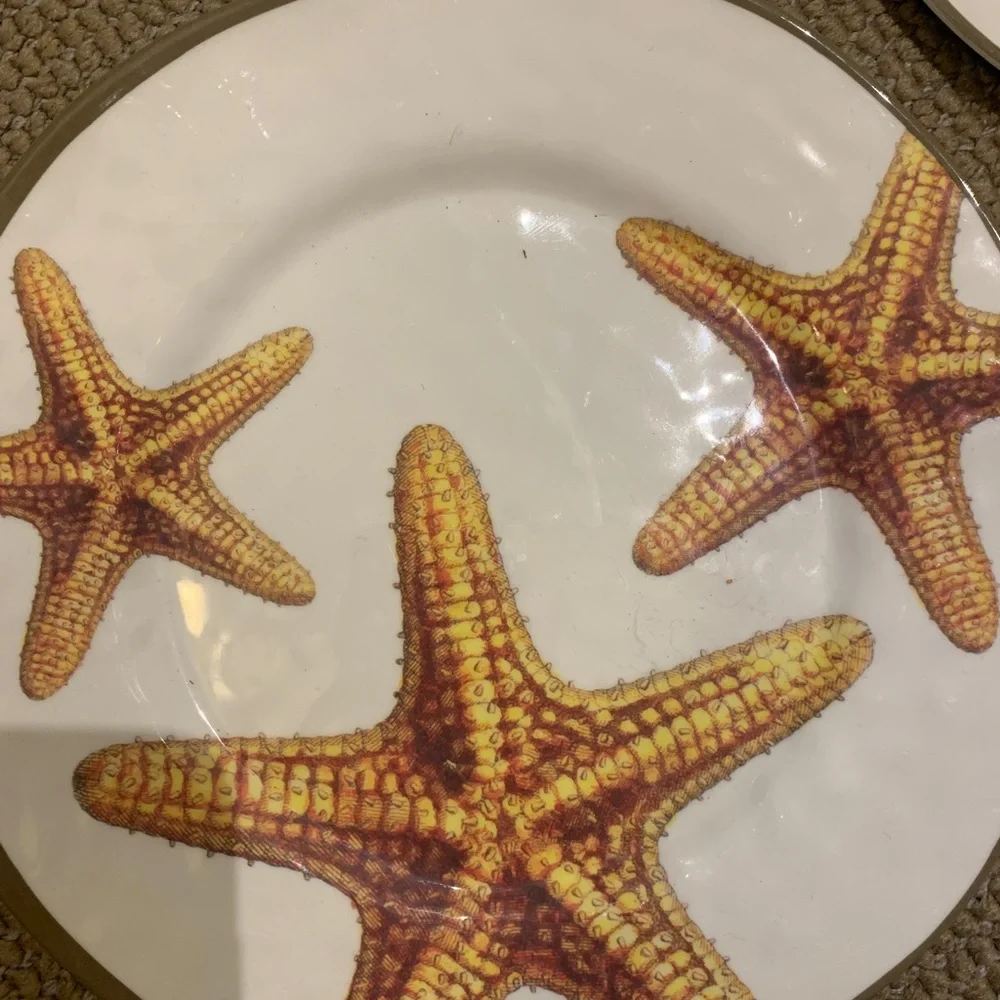 Three Pottery Barn plates